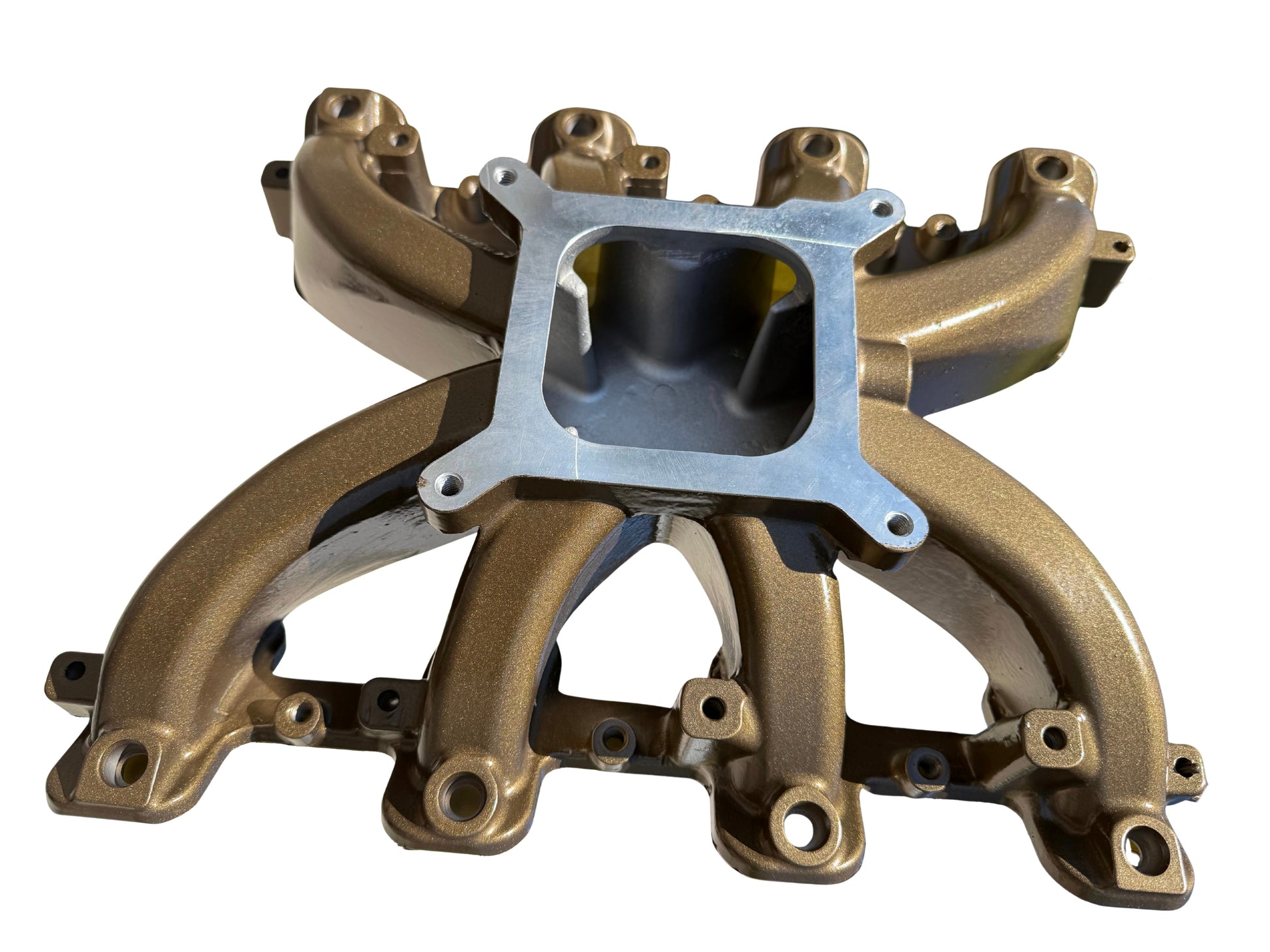 LS1/LS2/LS6 Hurricane EFI Intake Manifold